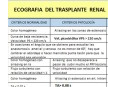 ECOGRAFÍA DEL TRASPLANTE RENAL